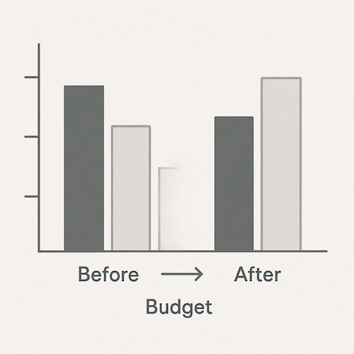 Budget Allocation